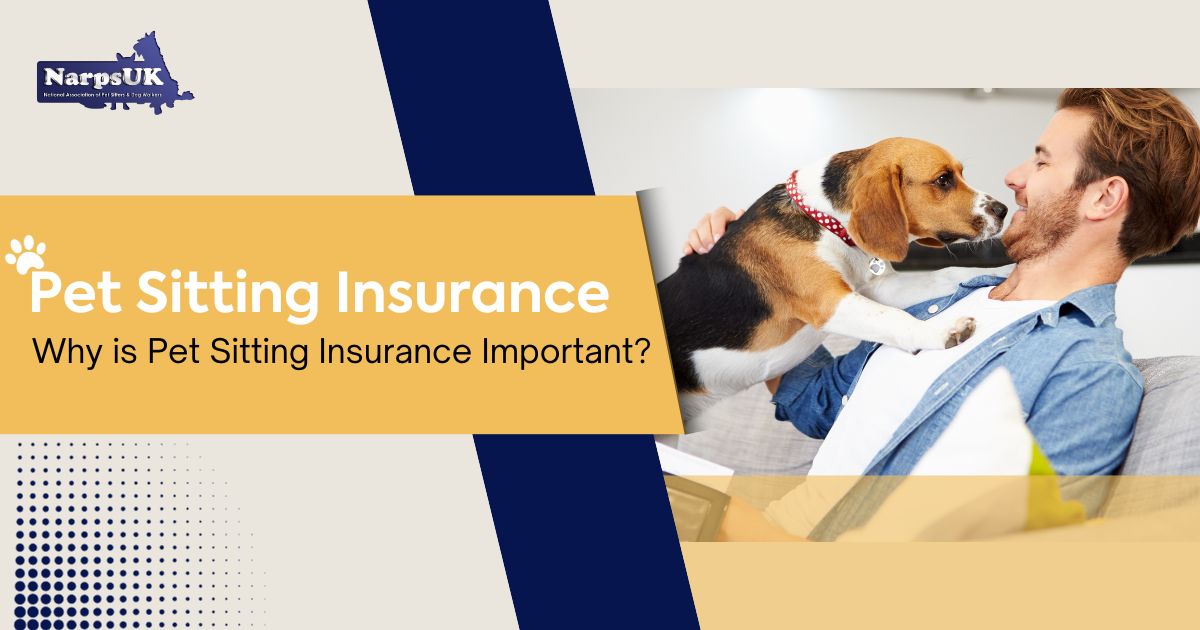 Why is Pet Sitting Insurance Important?